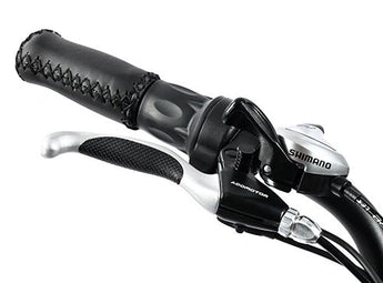 AddMotor Soletri Trike 750W Rear Drive