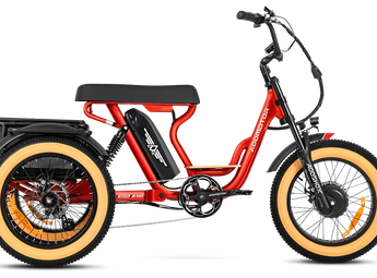 AddMotor Soletri Trike 750W Rear Drive