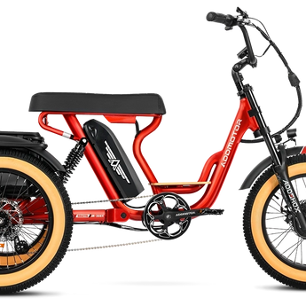 AddMotor Soletri Trike 750W Rear Drive