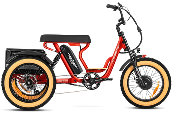 AddMotor Soletri Trike 750W Rear Drive