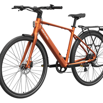 FLINT Ebike
