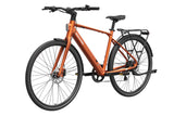 FLINT Ebike