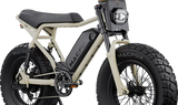 Macfox X2 Electric Mountain Bike