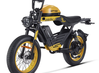 HappyRun G100 Pro 6000W Electric Bike Dual Battery