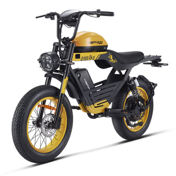 HappyRun G100 Pro 6000W Electric Bike Dual Battery