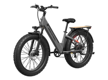 Mesa Plus ST Electric Bike