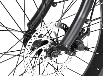 Tracer Loiter Fat Tire Cruiser Electric Bike