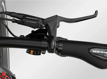 Mokwheel Basalt S/T 48V 750W Electric Bike