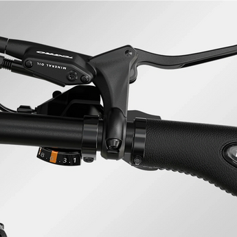 Mokwheel Basalt S/T 48V 750W Electric Bike