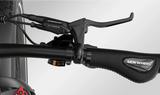 Mokwheel Basalt S/T 48V 750W Electric Bike