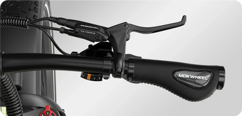 Mokwheel Basalt S/T 48V 750W Electric Bike