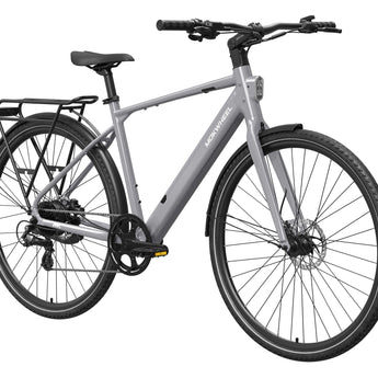 FLINT Ebike