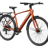 FLINT Ebike