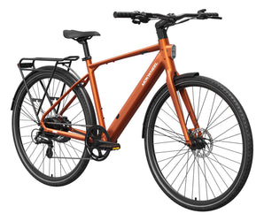 FLINT Ebike