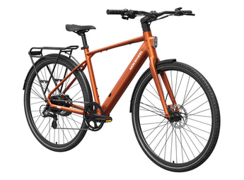 FLINT Ebike
