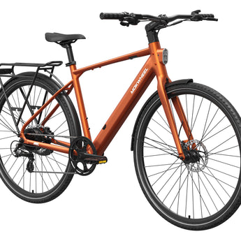FLINT Ebike