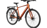 FLINT Ebike