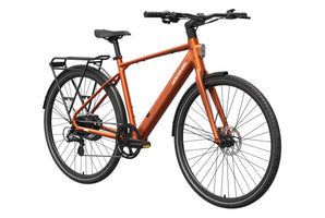 FLINT Ebike