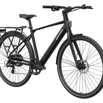 FLINT Ebike