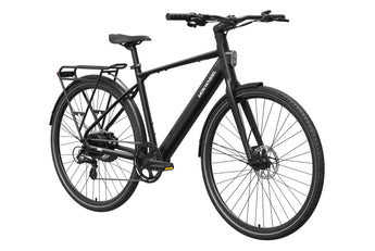 FLINT Ebike