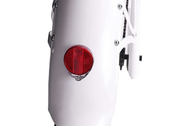 Raptor Pro DS 800W Stretch Cruiser Ebike
