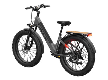 Mesa Plus ST Electric Bike