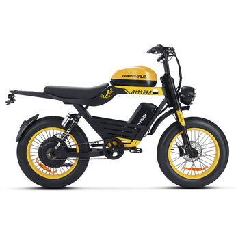 HappyRun G100 Pro 6000W Electric Bike Dual Battery