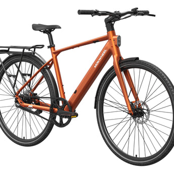 FLINT PRO Ebike