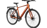FLINT PRO Ebike