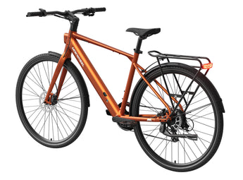 FLINT Ebike