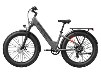 Mesa Plus ST Electric Bike