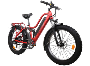 BEE COOL EXPLORER 48V 750W