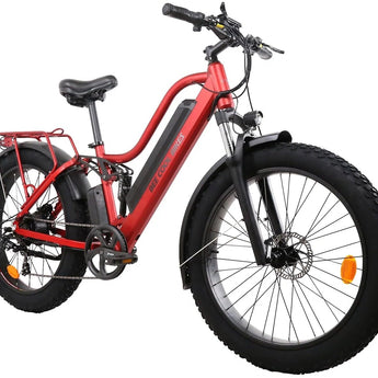 BEE COOL EXPLORER 48V 750W