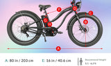 Tracer Loiter Fat Tire Cruiser Electric Bike