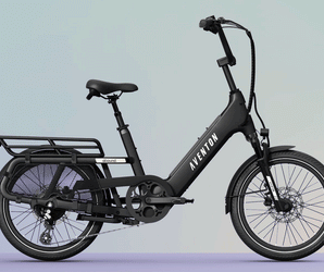 Abound SR Ebike