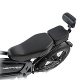 HappyRun G70 Pro Dual-Motor Dual-Battery Electric Cargo Bike