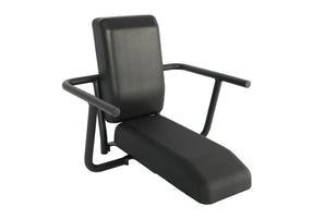 Aventon Passenger’s Chair - Abound SR / Abound LR