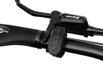 Mokwheel Granite Trike 48V 500W Rear Drive