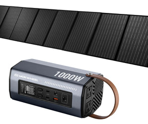 230W Solar Panel + Inverter