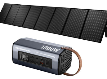 230W Solar Panel + Inverter