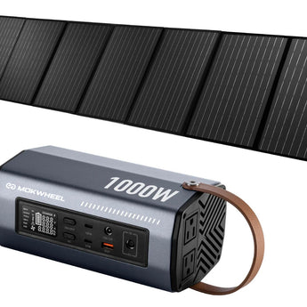 230W Solar Panel + Inverter