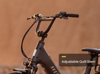 Abound LR Ebike