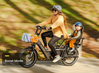 Abound LR Ebike