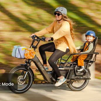 Abound LR Ebike