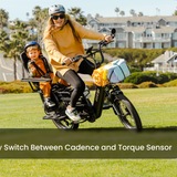 Abound LR Ebike