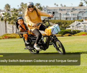 Abound LR Ebike