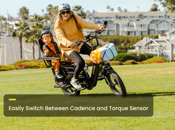 Abound LR Ebike