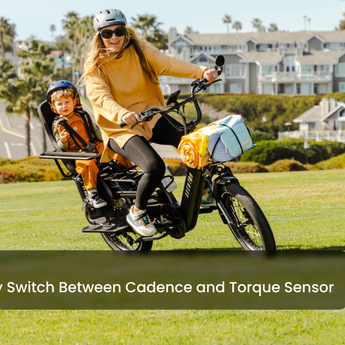 Abound LR Ebike