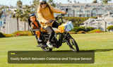 Abound LR Ebike