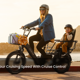 Abound LR Ebike